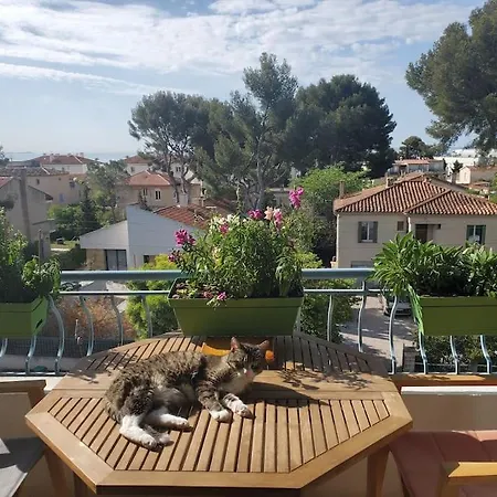 Lou 75 M2 A 300 M De La Avec Vue *